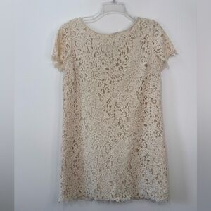 Zara Woman Large Off White Floral Lace Detail Mini Dress